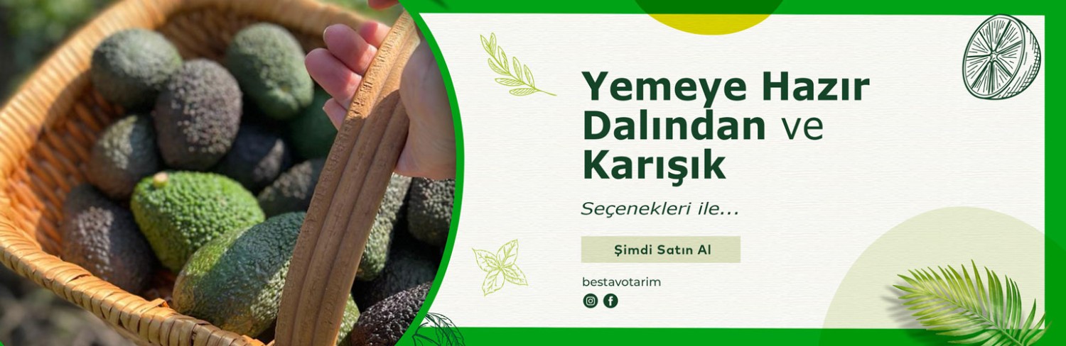BESTAVO promo